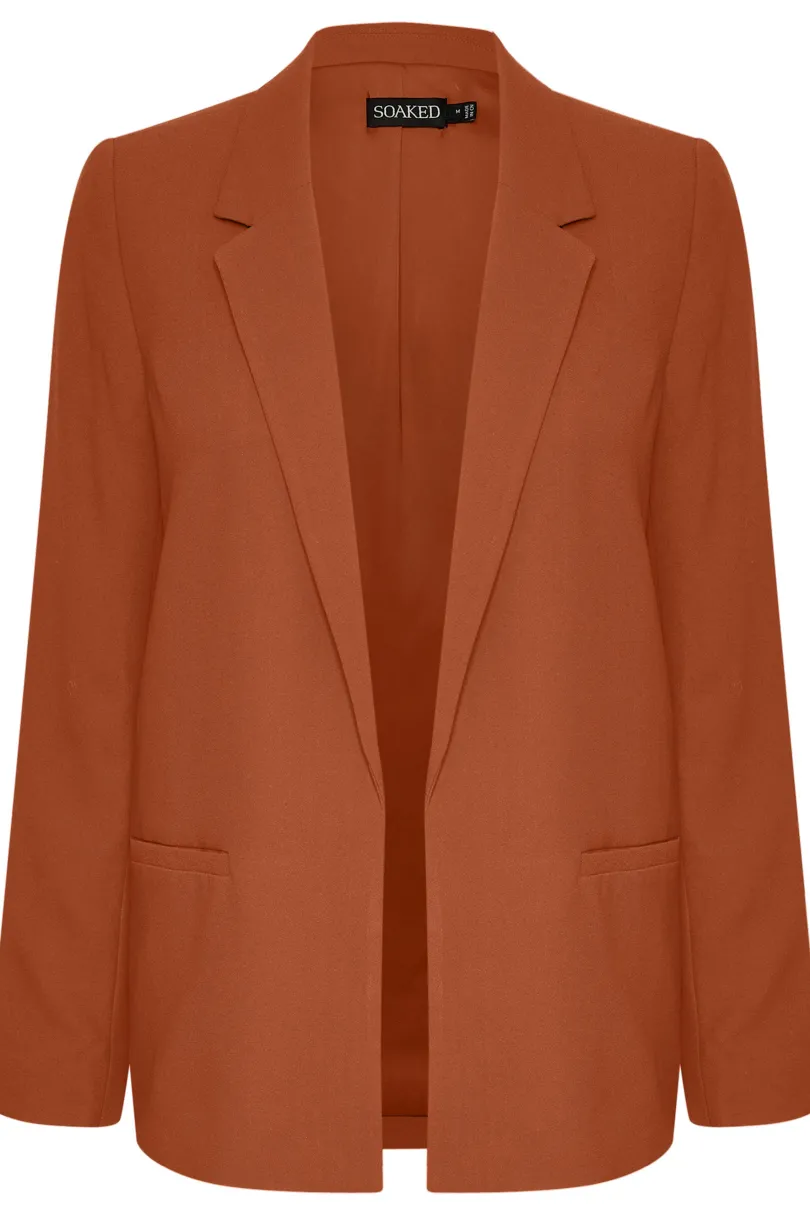 Clearance Soaked in Luxury SLShirley Blazer